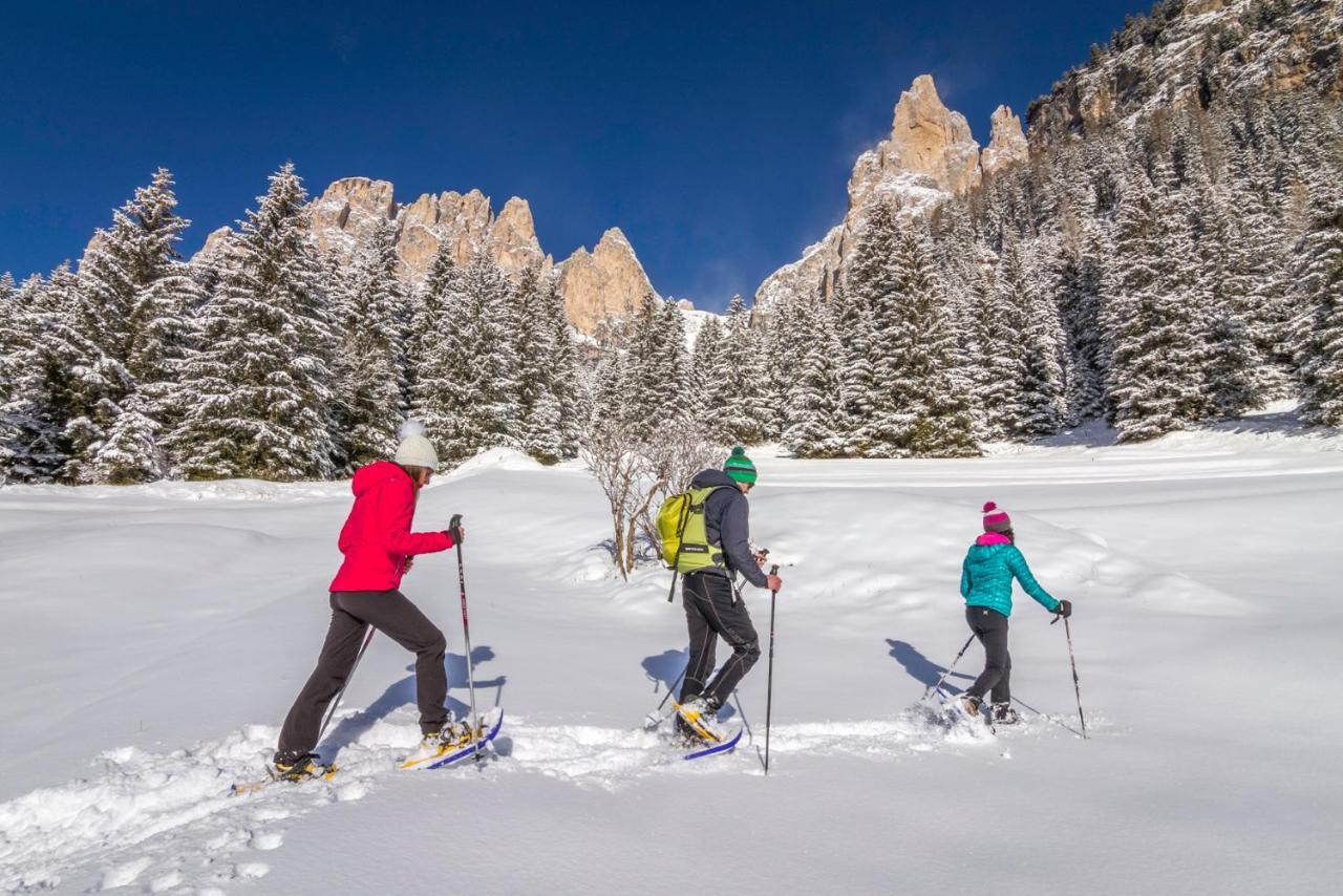 Hotel Ladinia Dolomites View بوتسا دي فاسّا المظهر الخارجي الصورة